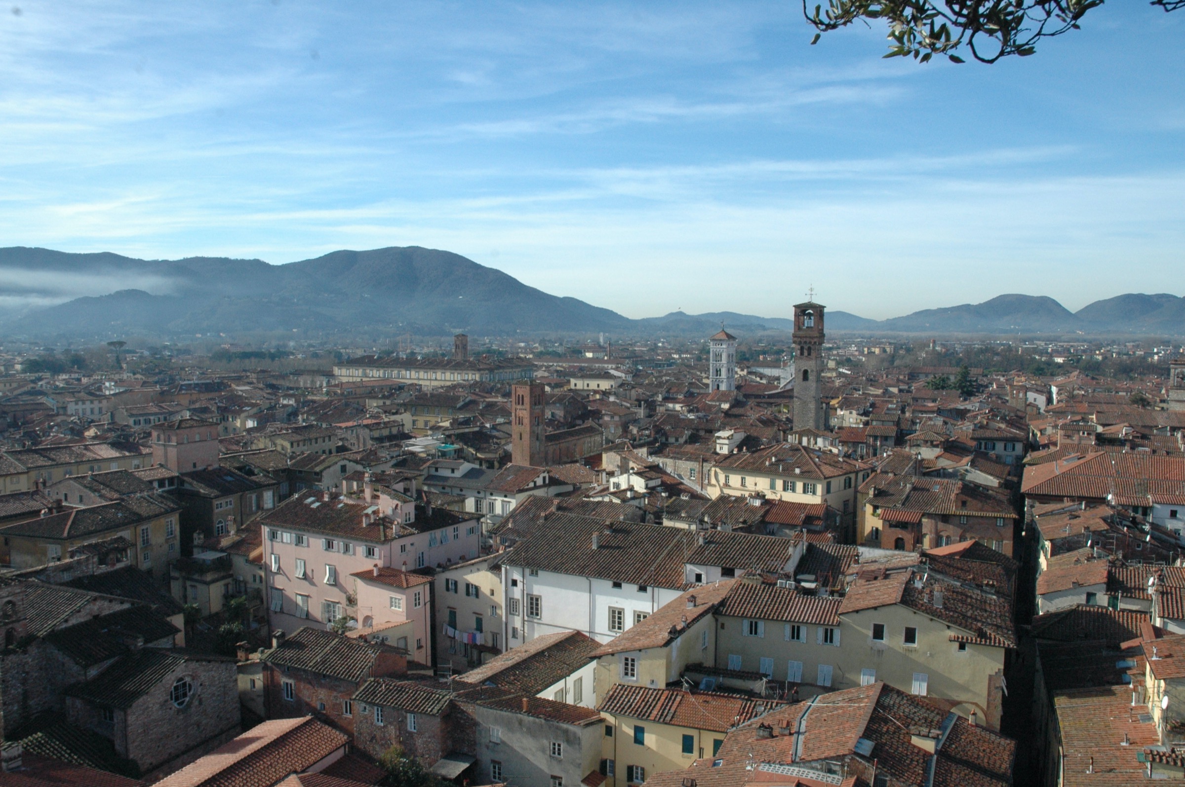I tetti e le torri di Lucca visti dall'alto, con le montagne sullo sfondo